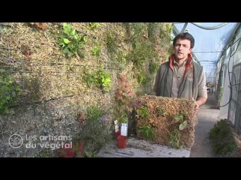 Wie macht man eine grüne Wand?