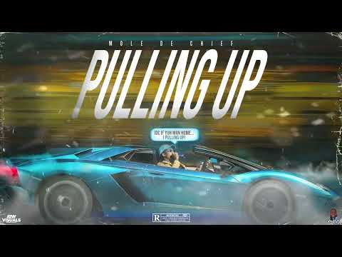 Mole De Chief - Pulling Up