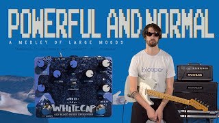 Video thumbnail for WHITECAP Tremolo by Old Blood Noise Endeavors (Powerful and Normal Ep. 4) by andy othling