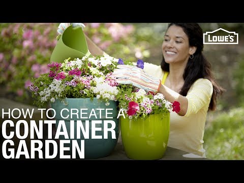Lowes Container