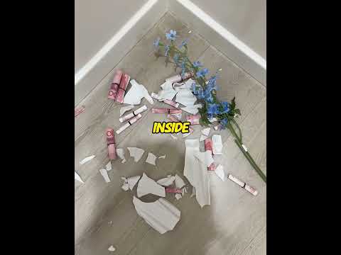 My Cat Found $10,000 Hidden in My House #shorts #cat #money