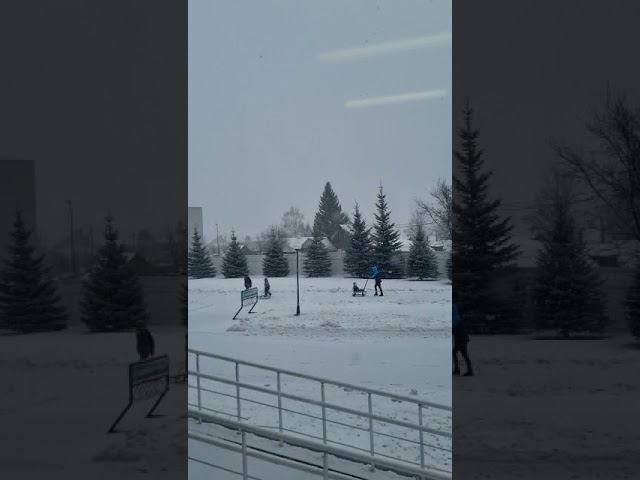☃На улице стало веселее, ребятишки и молодые мамы вышли на санках, совсем скоро заработают катки, будем кататься и наслаждаться зимой.☃❄