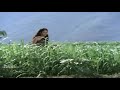 Actress Shoba Whatsapp Status