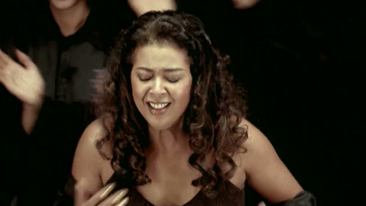 DJ BoBo & Irene Cara - What A Feeling - 