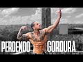COMO PERDER GORDURA SEM SOFRER. *dicas*