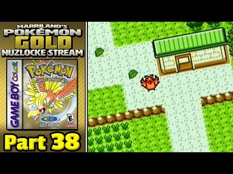 Pokémon Gold Nuzlocke, Part 38: Elite Four Training #2! (Training Episode)