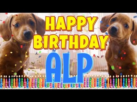 Happy Birthday Alp! ( Funny Talking Dogs ) What Is Free On My Birthday