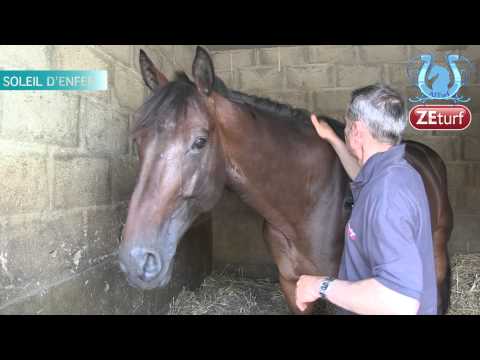 Tour de Cour chez Gilles DELACOUR (Part2) - A2TURF.COM