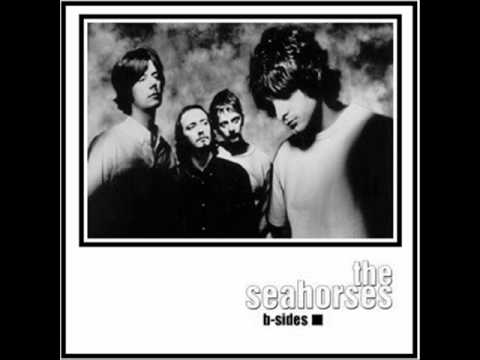 THE SEAHORSES - SUICIDE DRIVE