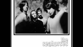 THE SEAHORSES - SUICIDE DRIVE