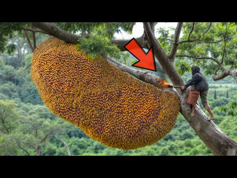 Einzigartige Momente in der Natur