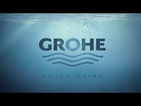 Лейка для ручного душа Grohe Tempesta 100 28419002 Лейка для ручного душа Grohe Tempesta 100 28419002