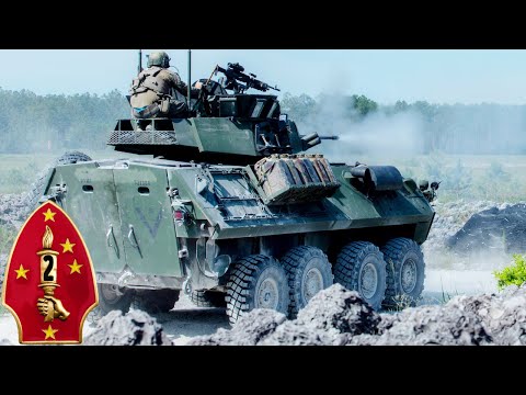 USMC. Leistungsstarke leichte Panzerfahrzeuge LAV-25 auf dem Übungsgelände