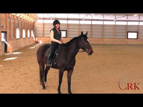 🐎How to Encourage Your Lazy Horse to Move Forward