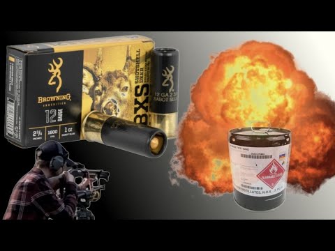 [17] Browning BXS 12ga Sabot Slugs