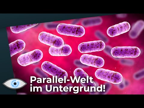 Parallel-Welt unter der Erde entdeckt!  - Geheimnisvolle Tiefen-Biosphäre im Untergrund!