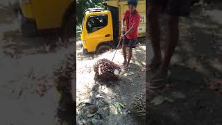 Download lagu Salam cah kerjo mp3