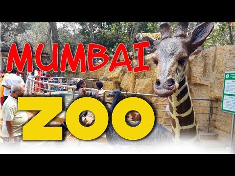 download lagu mp3 mp4 List Of Animals In Byculla Zoo, download lagu List Of Animals In Byculla Zoo gratis, unduh video klip List Of Animals In Byculla Zoo