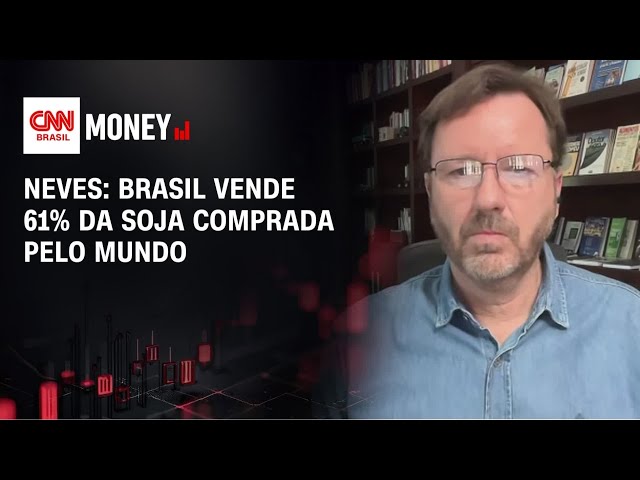 Perspectiva de avanço no plantio da soja para 10 anos é muito boa, diz Fava Neves | MONEY NEWS