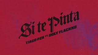 Tiago PZK, Doly Flackko - Si Te Pinta (Visualizer)