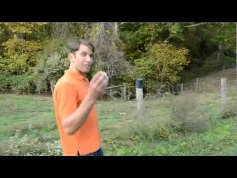 Brain Food: Incredible, Edible Farm-Fresh Eggs // Recipe for Happiness