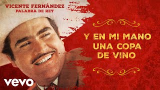 Vicente Fernández - Tu Camino y el Mío (Letra / Lyrics)