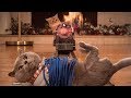CATch Me If You Can von AaronsAnimals vo CATch Me If You Can von AaronsAnimals vo