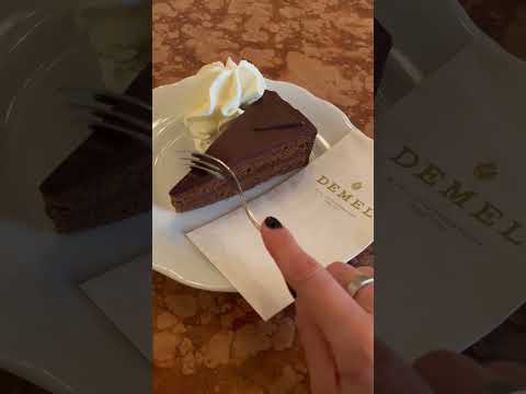 What is the famous dessert in Austria ? #desserts #zaher #torta #dessertcake #austriatravel