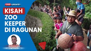 Kisah Zoo Keeper Harimau Benggala di Ragunan, Rela Tak Pulang saat Libur Natal demi Jaga Hewan Buas