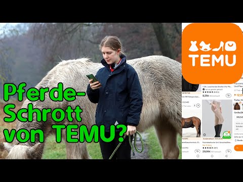 Sind Pferdesachen von Temu zu gebrauchen?