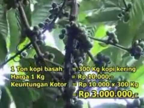 Meningkatkan kulup pada penis Meningkatkan diet potensi