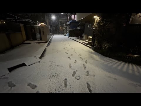4K HDR - Snowy Night Walk in Tokyo, Japan / Feb 2022