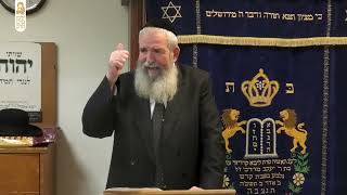 פרשת שמות | למה משה לא רוצה להוציא ממצרים? | הרב יגאל לרר | י"ט טבת תשפ"ו | ישיבת מרכז הרב (ישיבת מרכז הרב) - התמונה מוצגת ישירות מתוך אתר האינטרנט יוטיוב. זכויות היוצרים בתמונה שייכות ליוצרה. קישור קרדיט למקור התוכן נמצא בתוך דף הסרטון