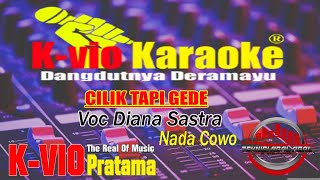 Download lagu Karaoke CILIK TAPI GEDE Voc DIANA SASTRA Nada Cowo mp3