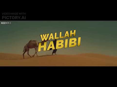 Wallah Habibi Video  Arabic Songs  Hindi Video song