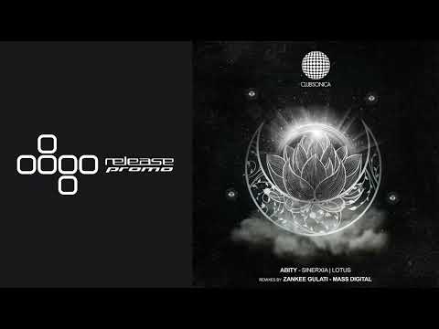 PREMIERE: Abity - Sinerxia (Zankee Gulati Remix) [Clubsonica Records]