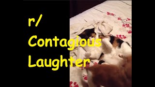 Contagious Laughter Vol 11 - IMPOSSIBLE Funny Reddit & Tiktok Videos