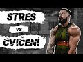 STRES vs CVIČENÍ | Jak snížit hladinu kortizolu?