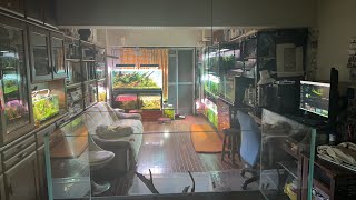 【ライブ140】ADA90cm水槽を買ってしまいました