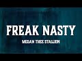 Megan Thee Stallion Freak Nasty