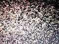 Rock With Barney Teaser Trailer Compilation Definition