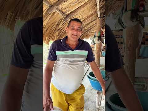 Diabolines de purísima