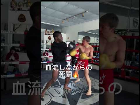 武尊海外でのガチスパーで衝撃の､､､🔥#キックボクシング #ko #格闘技 #k1 #one #champion #shortsfeed #武尊 #ロッタン