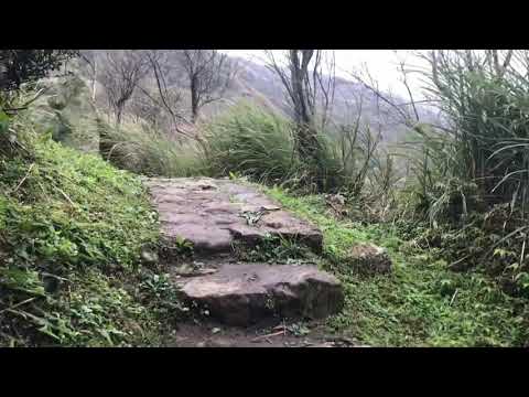 2020-0223 頂山-石梯嶺