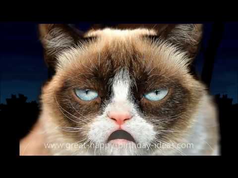GRUMPY CAT HAPPY BIRTHDAY SONG (TOO FUNNY)