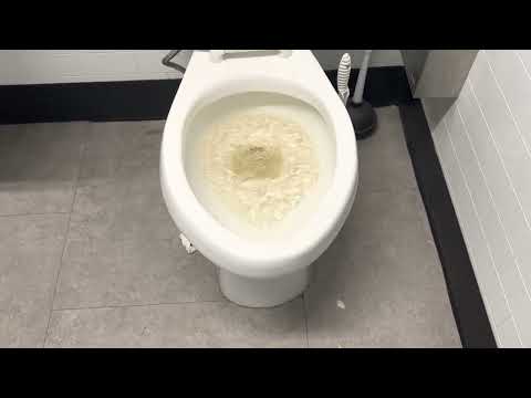 6,862. Big Lots Women’s Restroom