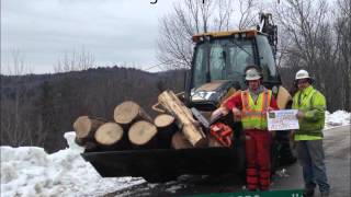 Bonnie Prince Billy: Work Hard/Play Hard