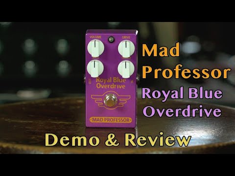 David's Guitar Loft and Mad Professor Amplification