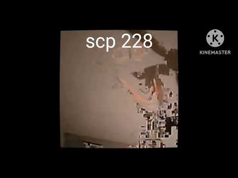 Scp 228