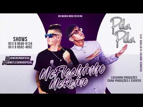 MC FLESHINHO E MC REINO PULA PULA MÚSICA NOVA 2018
